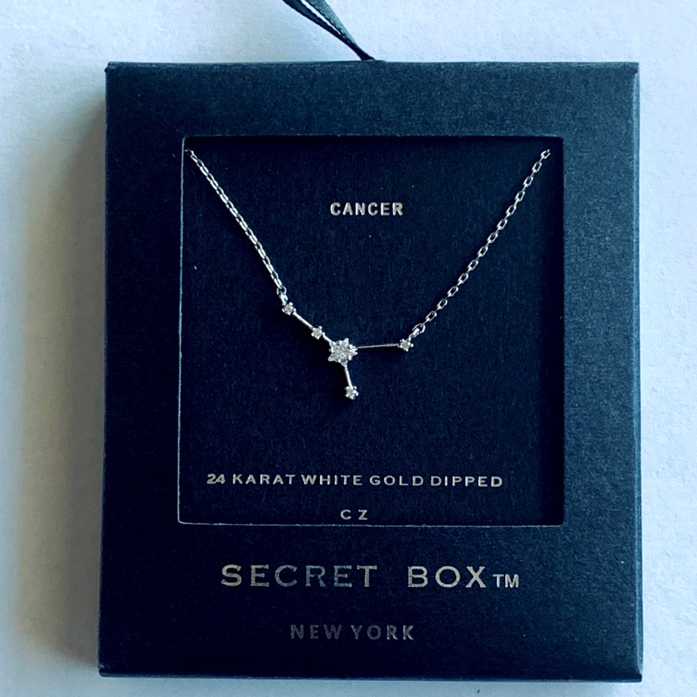 Cancer-Secret Box celestial necklace.